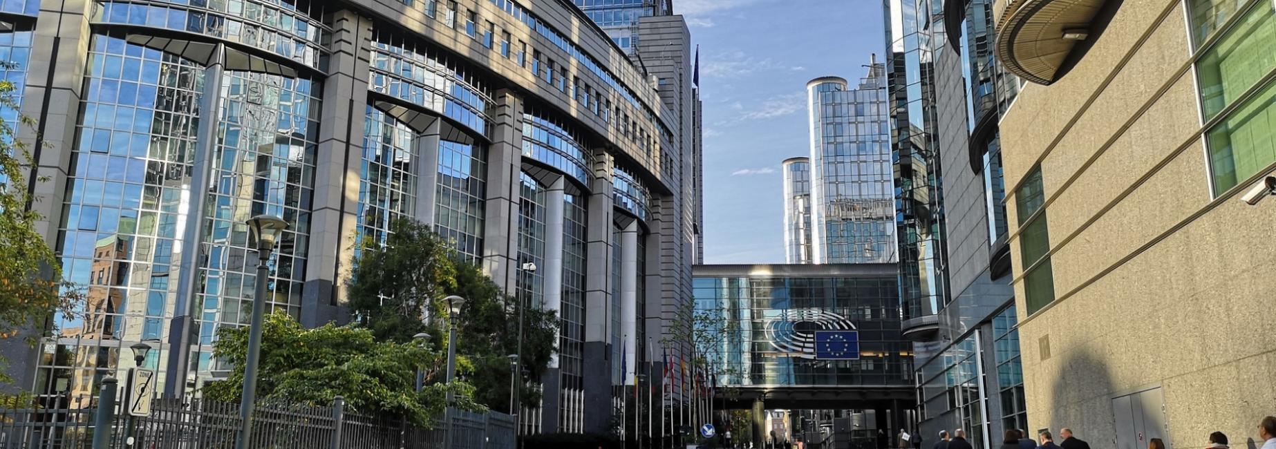 economics plp header slk